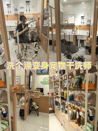 宠物澡堂新体验