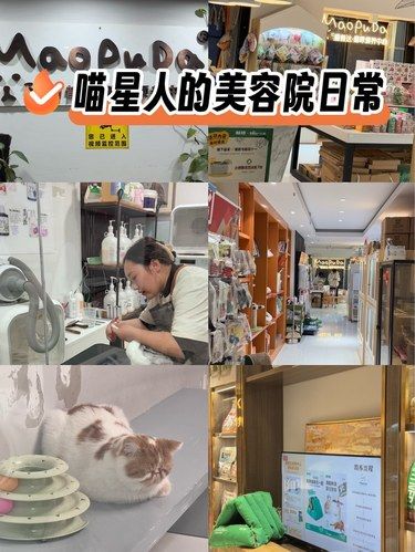 洗个澡变身宠物干洗师