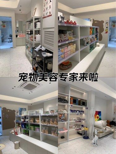 宠物洗澡初体验 | 喵了个汪