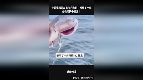 小姐姐陪男友出海钓鱼时，发现了一条会微笑的小鲨鱼！