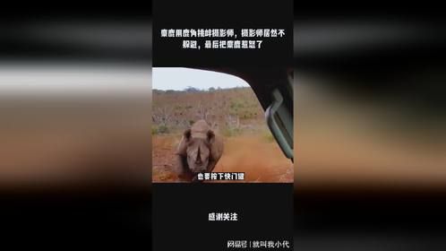 麋鹿用鹿角挑衅摄影师，摄影师居然不躲避，最后把麋鹿惹怒了