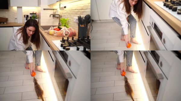 素食的女人和宠物在厨房里