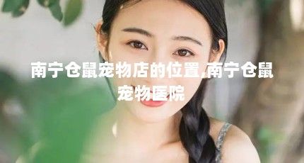 南宁仓鼠宠物店的位置,南宁仓鼠宠物医院