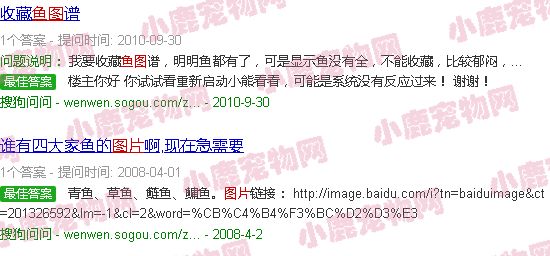 常见食用鱼类图片大全