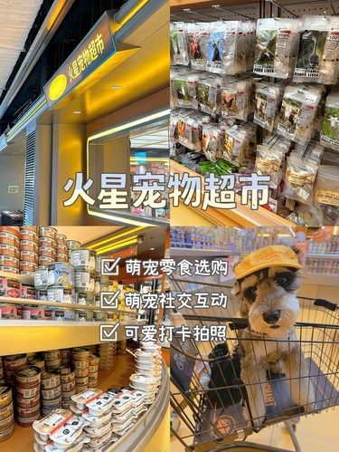 宠物友好商店 带毛孩子一起City Walk