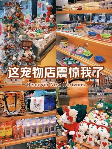 我滴天 这宠物店 我逛了一个小时 好可爱