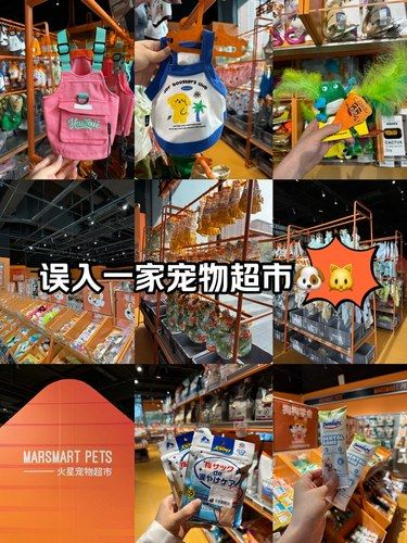 妈妈，这有一家小狗泳装店