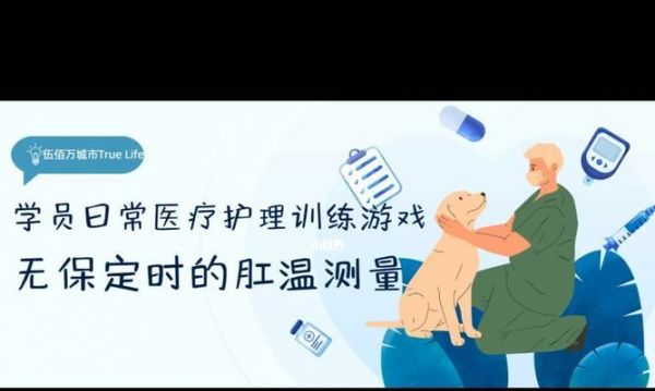 如何以狗狗训练的三个阶段原理训练你的宠物狗？（了解狗狗训练的三个阶段原理，提升你的宠物狗训练能力）