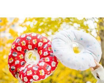 从宠物的健康和行为入手，一步步引导它正确行为（从宠物的健康和行为入手）