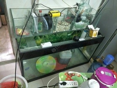 鱼缸换水控制温度的重要性：大鱼缸换水控制温度的方法