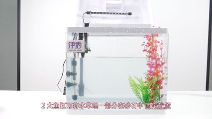 鱼缸换水控制温度的重要性：大鱼缸换水控制温度的方法