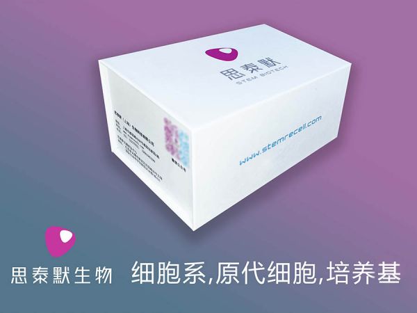 PK-15细胞（猪肾细胞系）