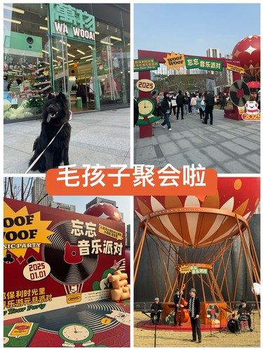 犬岛公园｜毛孩子聚会好去处
