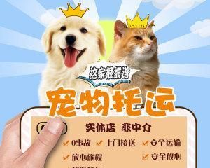 如何合法地将狗狗托运回家？（注意事项、手续流程及常见问题解答）