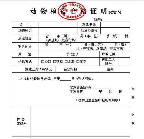 如何合法地将狗狗托运回家？（注意事项、手续流程及常见问题解答）