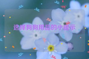 选择狗狗用品的小提示