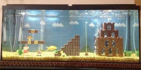 打造宠物水族馆:简单步骤,让鱼缸焕发新生!