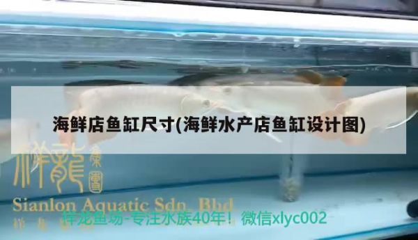 海鲜店鱼缸尺寸(海鲜水产店鱼缸设计图) 祥龙金禾金龙鱼