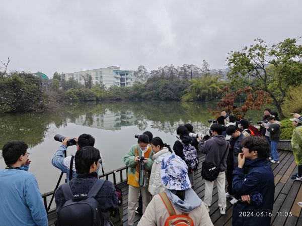 师生在湿地公园体验生态摄影.jpg