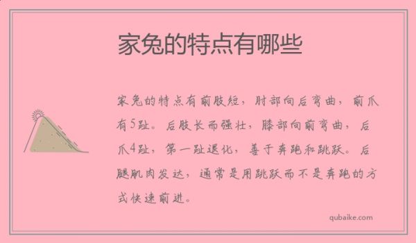 家兔的特点有哪些