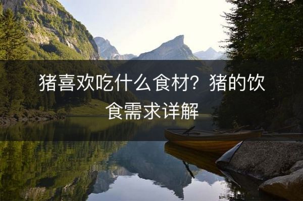 猪喜欢吃什么食材？猪的饮食需求详解