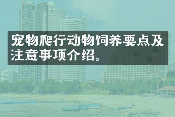 宠物爬行动物饲养要点及注意事项介绍。
