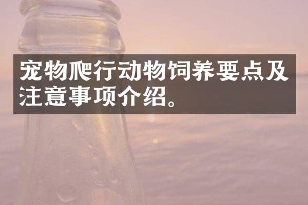 宠物爬行动物饲养要点及注意事项介绍。