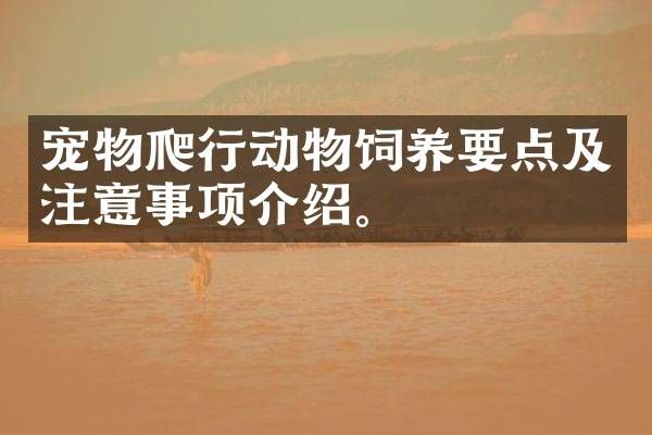 宠物爬行动物饲养要点及注意事项介绍。