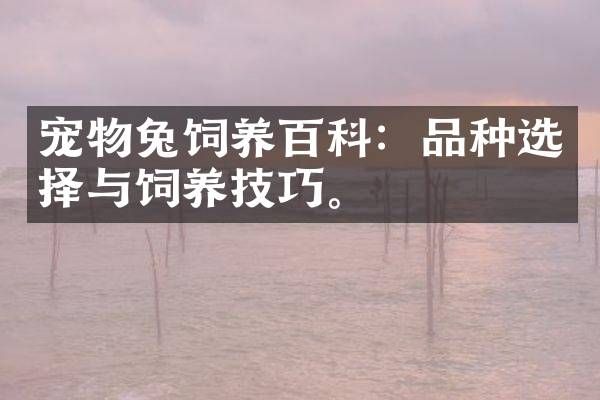 宠物兔饲养百科：品种选择与饲养技巧。