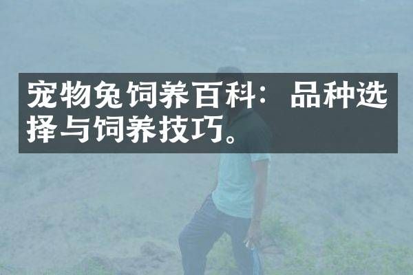 宠物兔饲养百科：品种选择与饲养技巧。