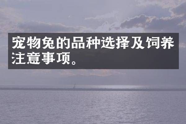 宠物兔的品种选择及饲养注意事项。