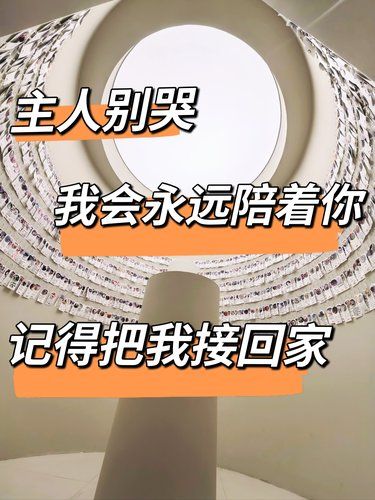 当我离开这个世界的时候,你会第一个来接我！