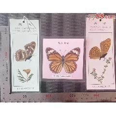 早期塑封《蝴蝶》标本（十），（虎斑蝶等）