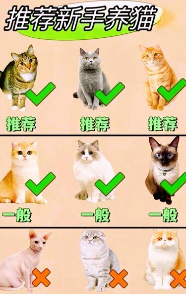 不知道怎么选择？来这里看看宝藏建议吧！