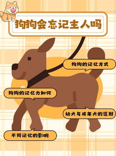 狗狗会忘记主人吗