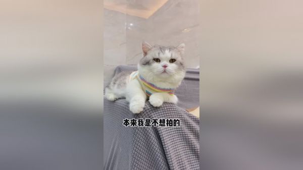这是一个卧龙凤雏的家庭啊