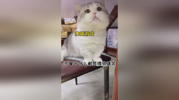 这大概就是所谓的老天爷赏饭吃吧？