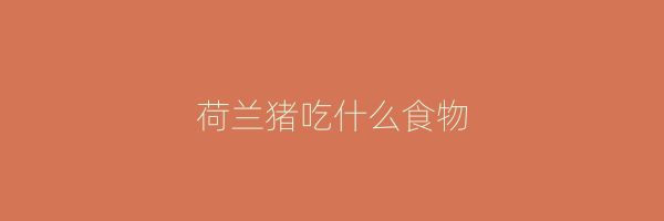 荷兰猪吃什么食物
