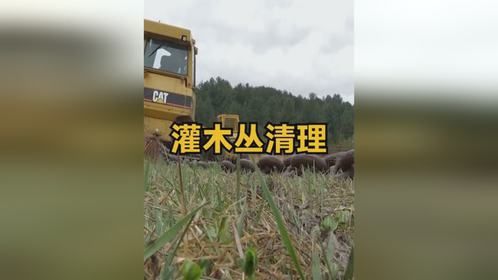 美国硬核式清理灌木丛，一条铁链就能轻松解决，场面太解压了