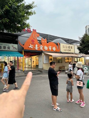 重庆你不宣传这里糊涂啊！！
