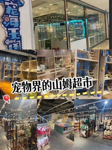 铲屎官必访！重庆最专业的大型宠物商超❗❗❗