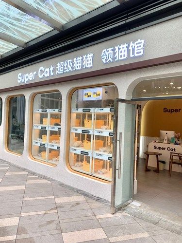 薅羊毛咯！超多品种猫咪免费领就在……