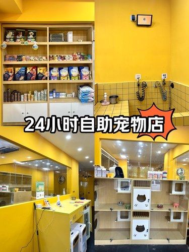 再也不怕狗狗没地方洗澡喽