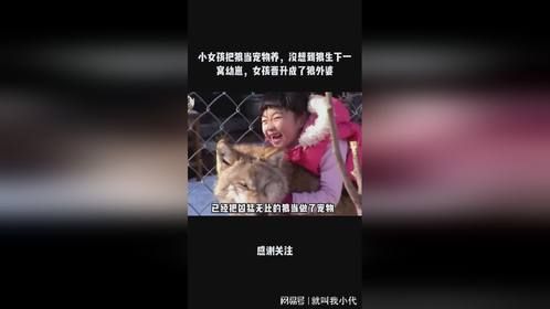 小女孩把狼当宠物养，没想到狼生下一窝幼崽，女孩晋升成了狼外婆