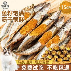 雅礼颂 宠物猫咪零食多春鱼淡水满籽小鱼虾冻干幼猫磨牙营养发腮 冻干多春鱼100g