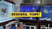观赏鱼的营养品，可以用吗？