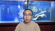 办公桌上小型鱼缸，适合饲养什么品种的观赏鱼？