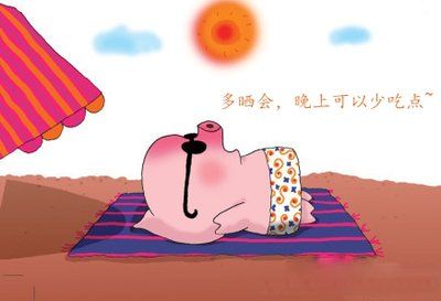 狗狗训练营减肥食谱app