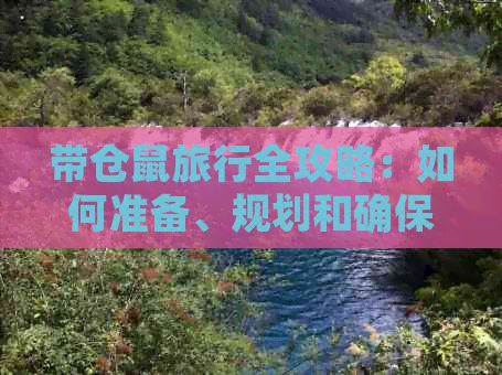 带仓鼠旅行全攻略：如何准备、规划和确保宠物安全顺利出行