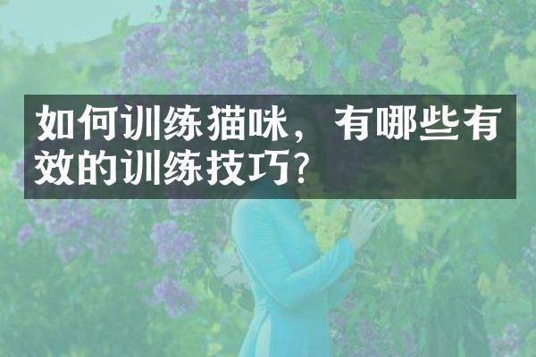 如何训练猫咪，有哪些有效的训练技巧？